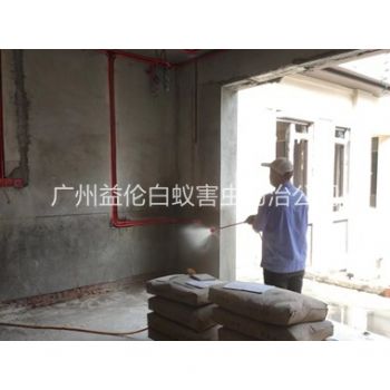 花都装修预防白蚁工程